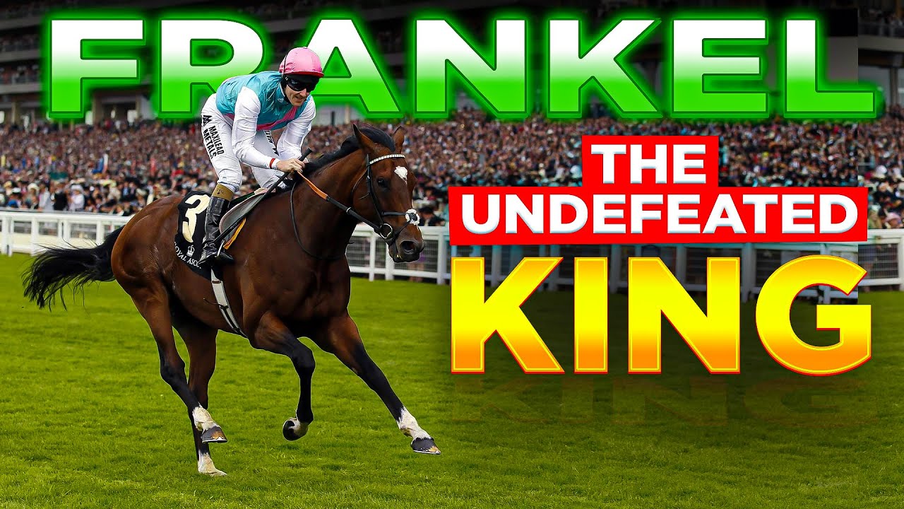 ALL 14 UNDEFEATED RACES OF FRANKEL | THE HIGHEST RATED HORSE IN HISTORY