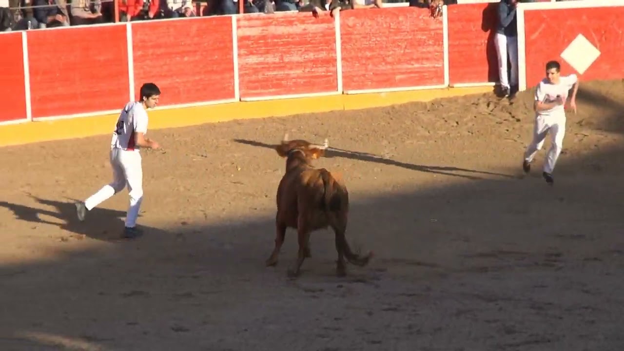 1ª PARTE CONCURSO DE  ANILLAS FITERO (NAVARRA) EULOGIO MATEO      13 -03- 2022