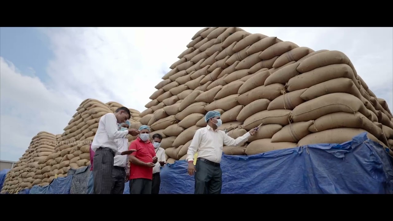 D D international Corporate video. Golden Grain premium quality Basmati rice.