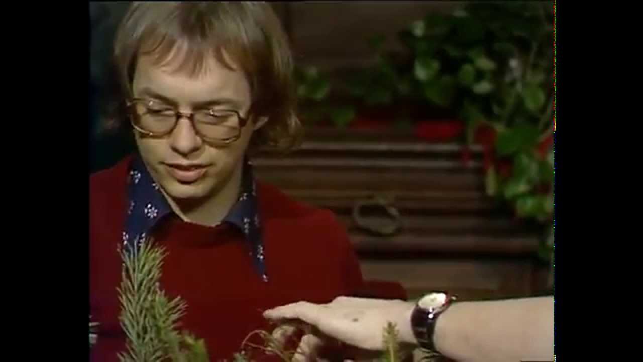 Sant och sånt 1/3 1976
