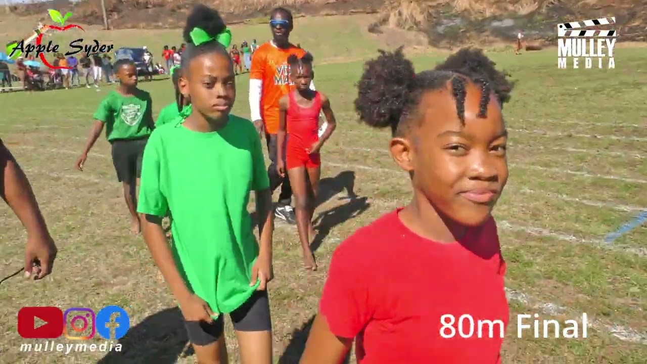 Newton Ground Primary School Sports Day 2025 Highlights