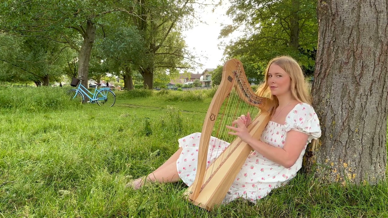 35 Minutes Of Relaxing Celtic Harp Worship