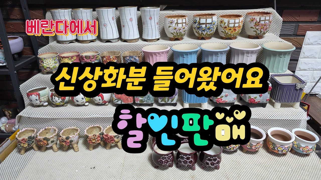  2월 24일 실용성있는 이쁜신상화분 들어왔어요 