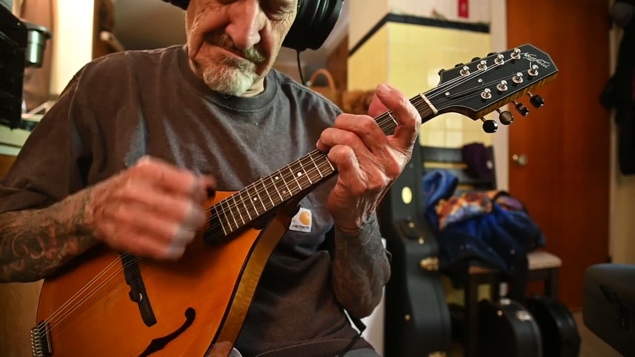 The Green Leaves Of Summer ( Mandolin )