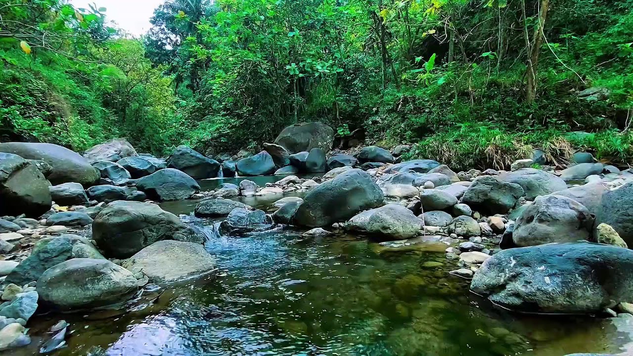 Forest River Flow Noise, Mountain Stream Water, Sleeping