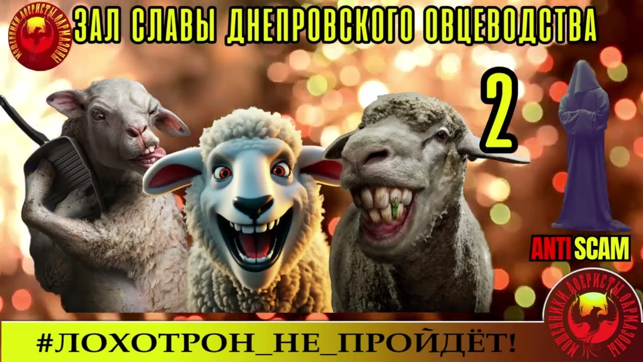AntiFraud - Станислав. 2 часть Зала Славы Днепровского Овцеводства. AntiScam, Crime