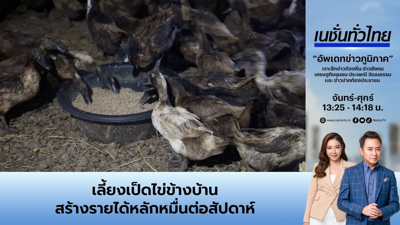 เลี้ยงเป็ดไข่ข้างบ้าน สร้างรายได้หลักหมื่นต่อสัปดาห์ l  เนชั่นทั่วไทย
