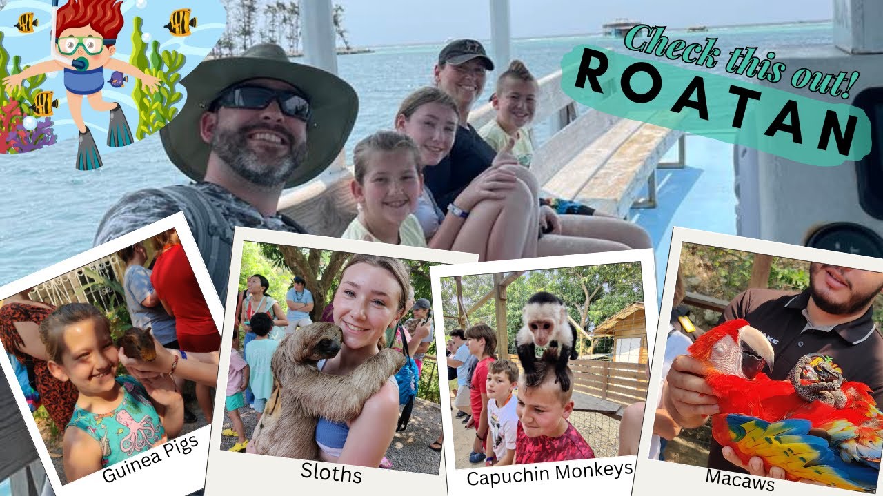 Экскурсия на Роатан — туры TripAdvisor и Roatan Getaway Tours для наблюдения за обезьянами, ленив...