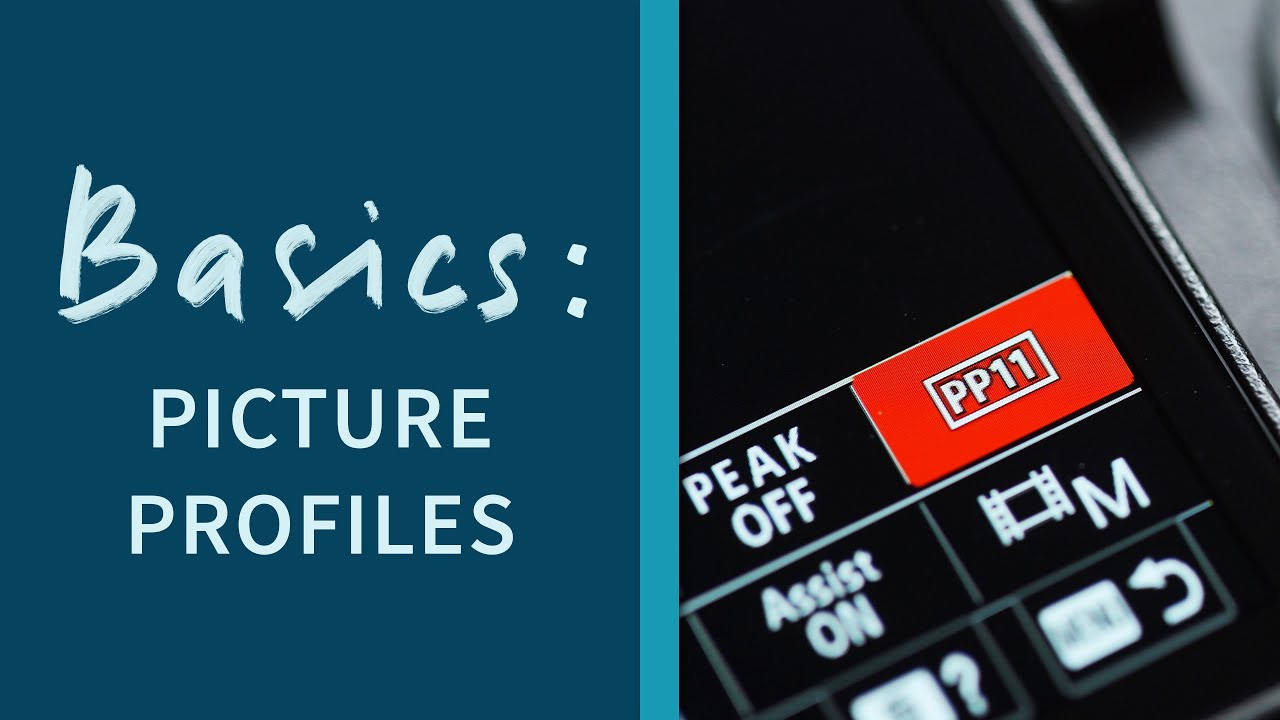 Picture Profiles Explained on Sony Cameras! PP1 to PP11 - Basics Episode 4