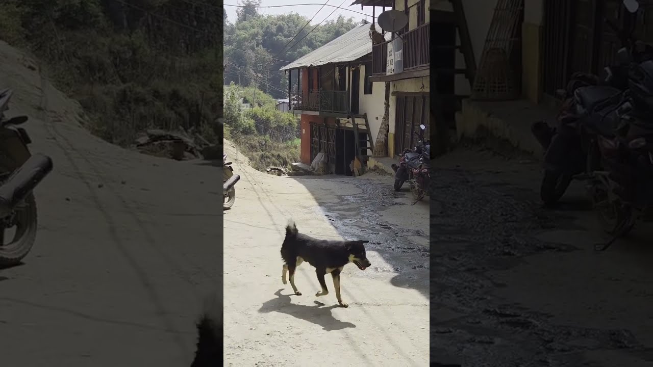 व्यस्त हुनुहुन्छ होला । मेरो लाईभ आएर सहयोग गरिदिनुभएकोमा धन्यबाद ।