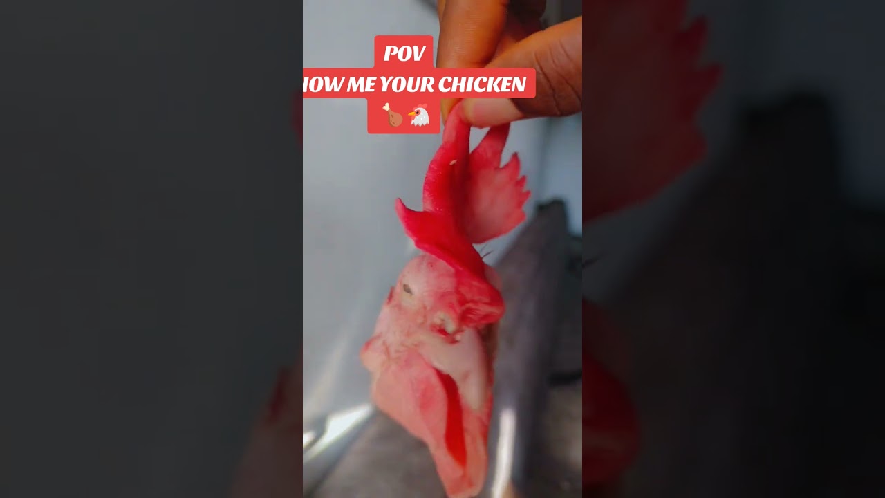 My Easter Chicken 