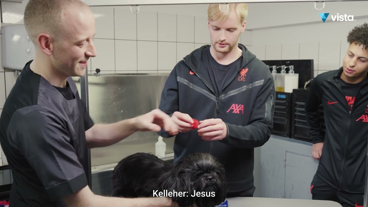 Liverpool FC: Work Experience