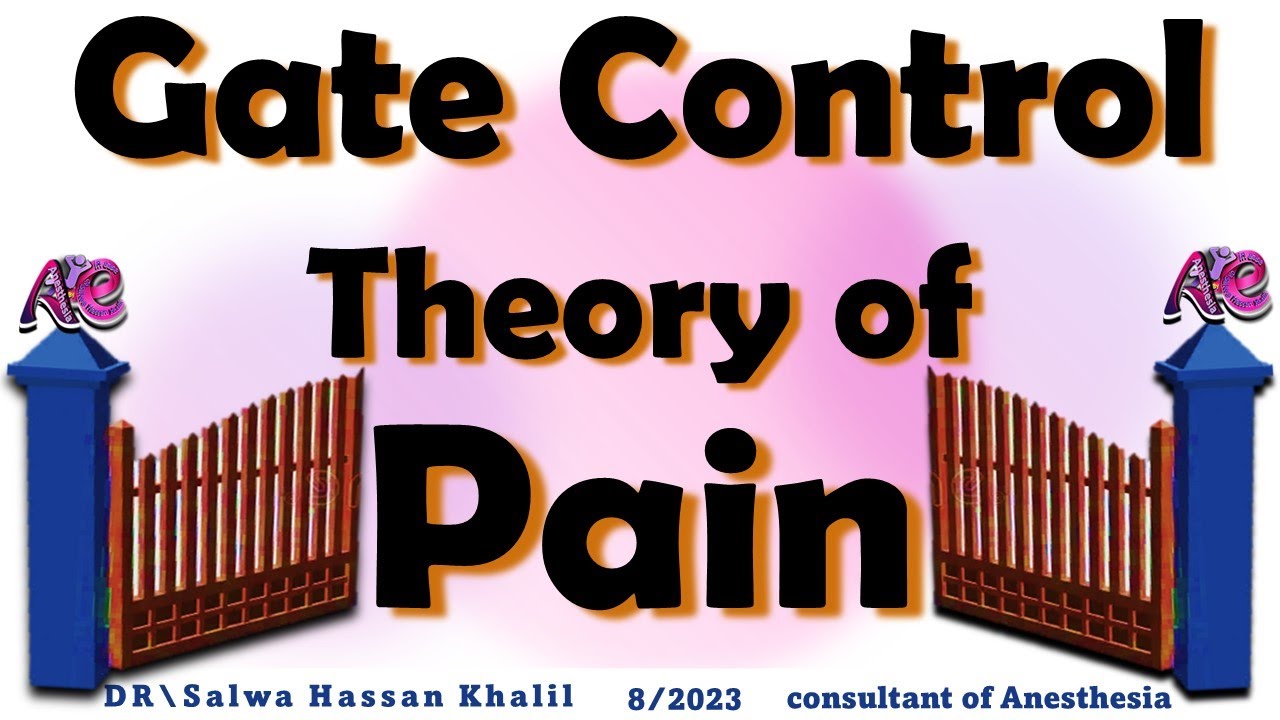 Gate Control Theory of Pain