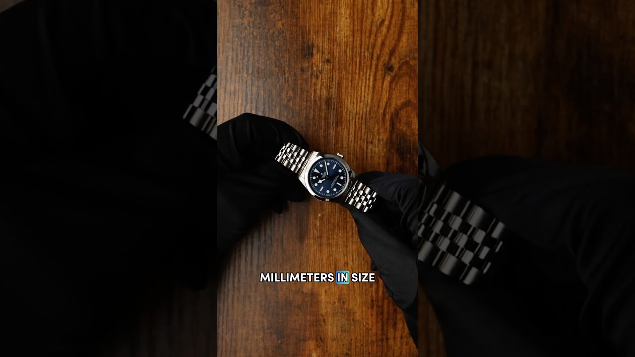 Is this Tudors best everyday watch?