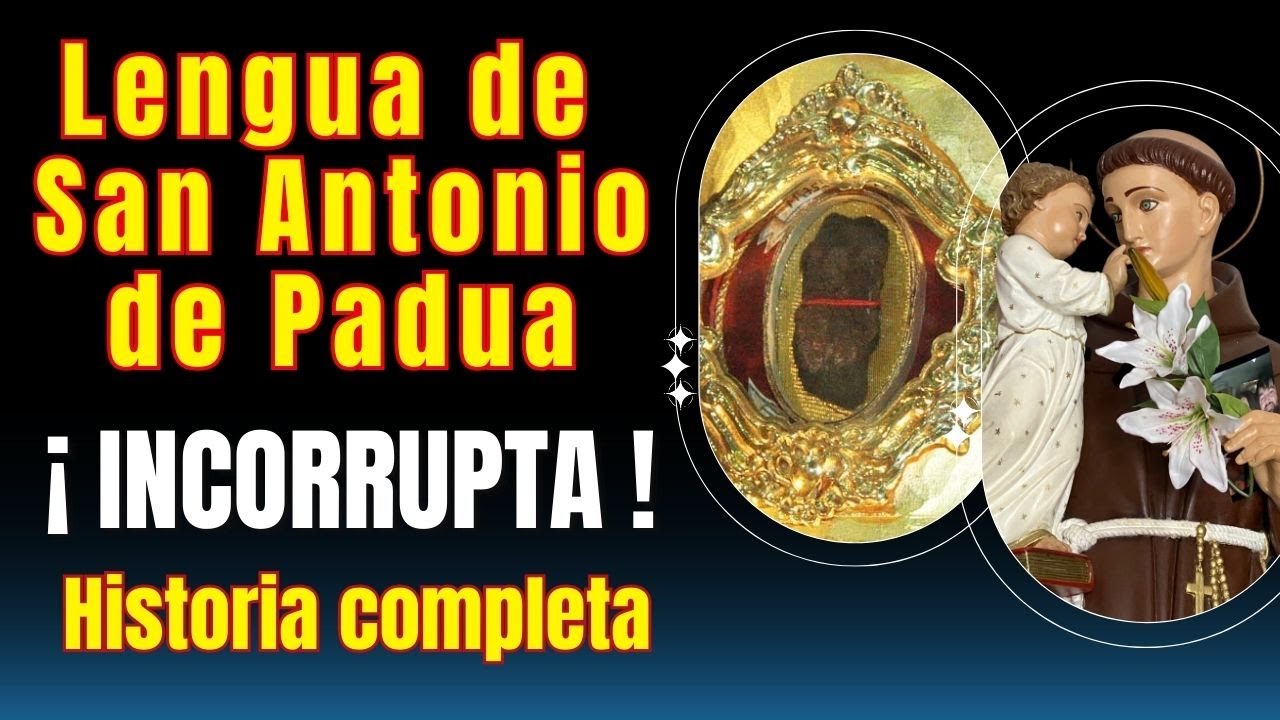 ❣️😲 Lengua INCORRUPTA de San Antonio @MI AMIGO San Antonio de Padua