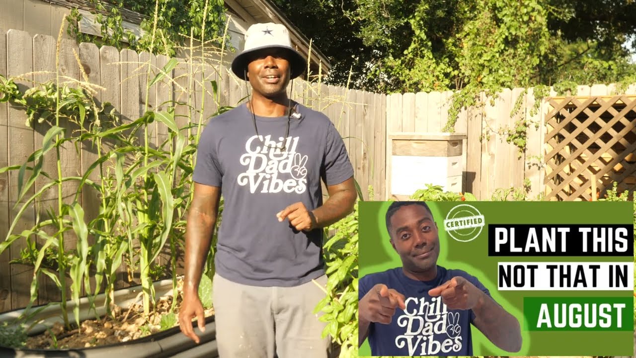 Essential Garden Chores This Month - August | ZONE 9 | JUST GROW IT THE PODCAST
