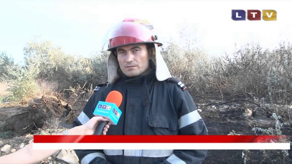 Incendiu &icirc;n Tabăra din Năvodari - Litoral TV