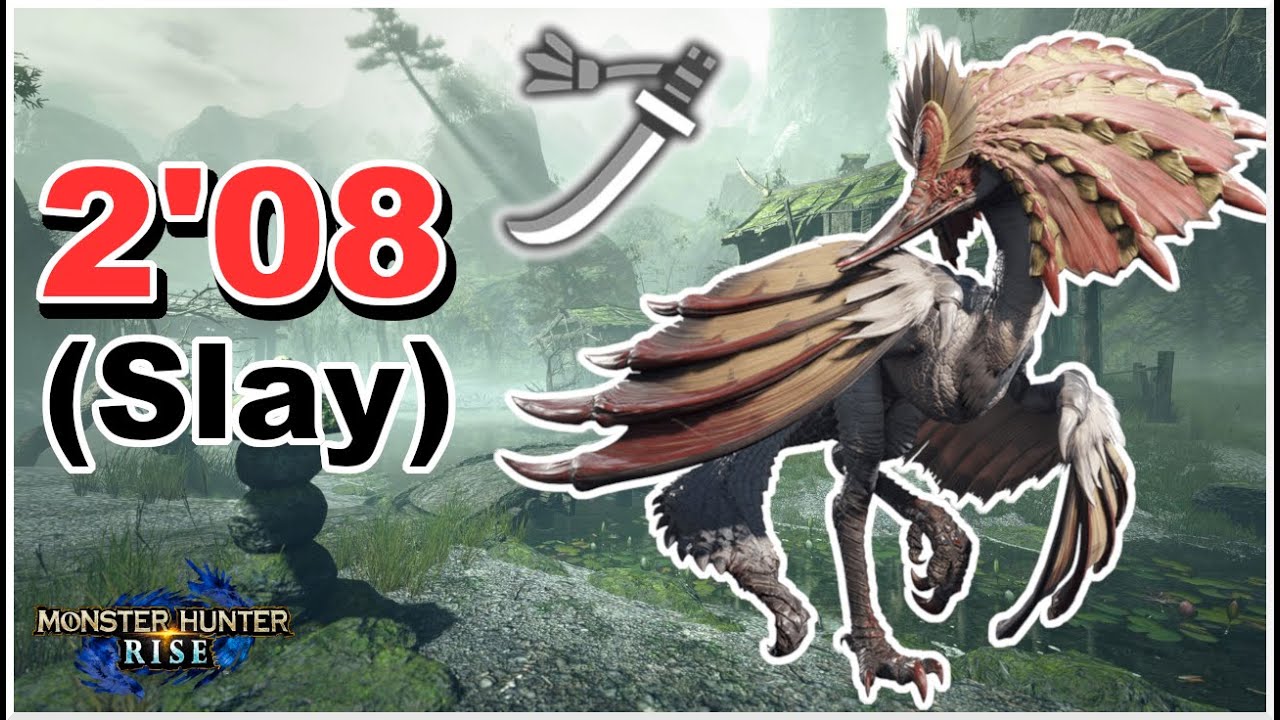 Aknosom Speedrun (Slay) Long Sword Monster Hunter Rise