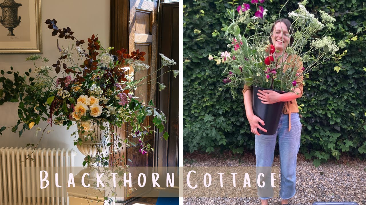 Welcome to Blackthorn Cottage | Growing & Arranging the Flowers for My First Wedding! #1