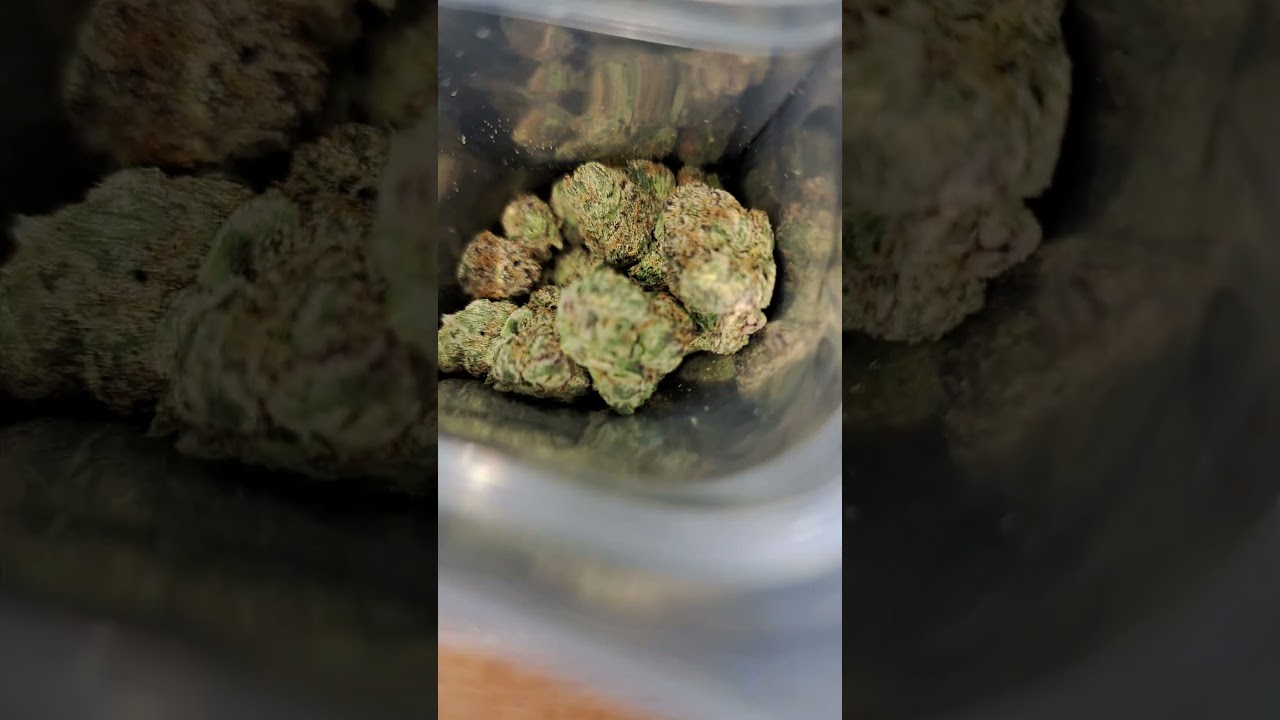 white guava from (SF CANNA ) #420 #california #gas #legal #legalizemarijuana #scale