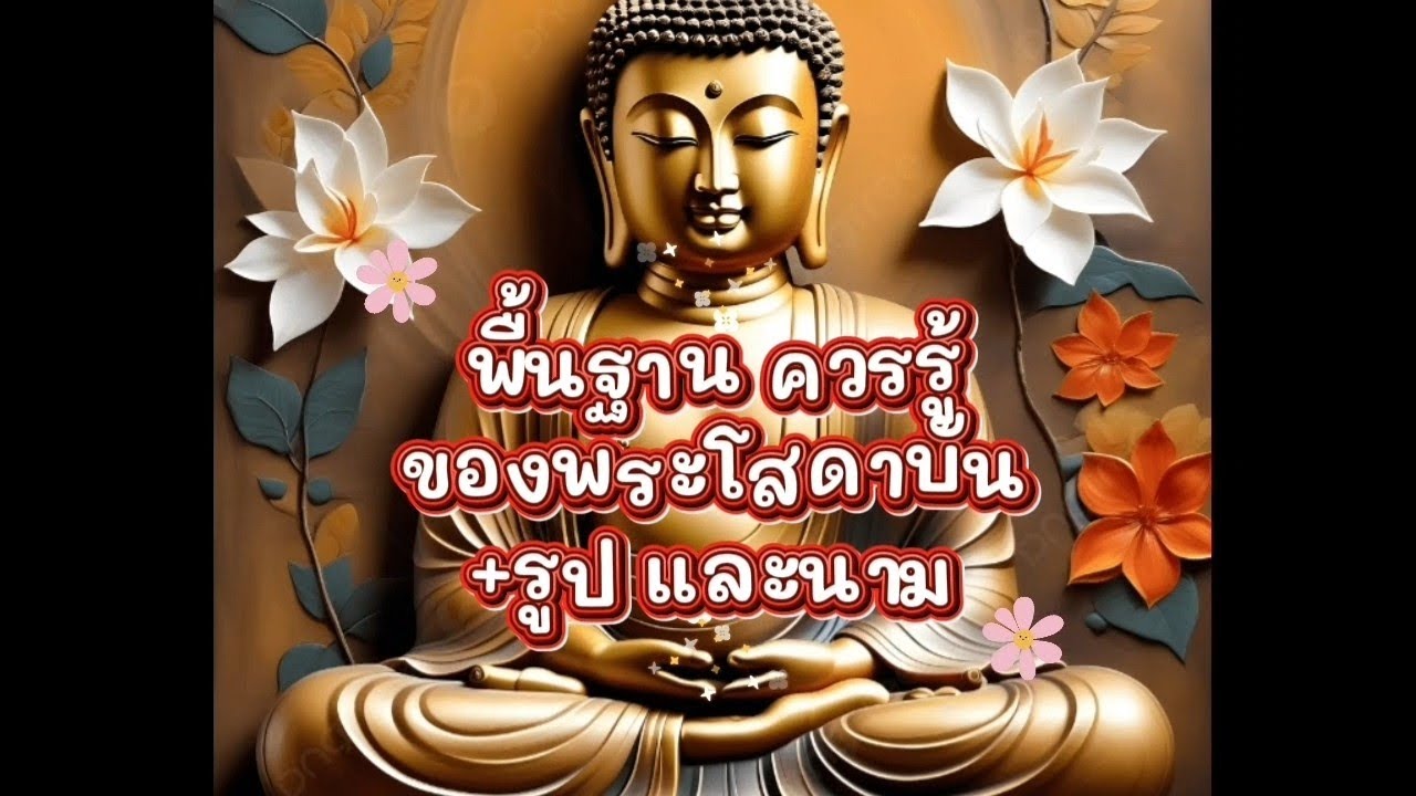 พื้นฐานพระโสดาบัน+รูป และนาม #ความลึกซึ้ง #ธรรมะ #ความสุข 