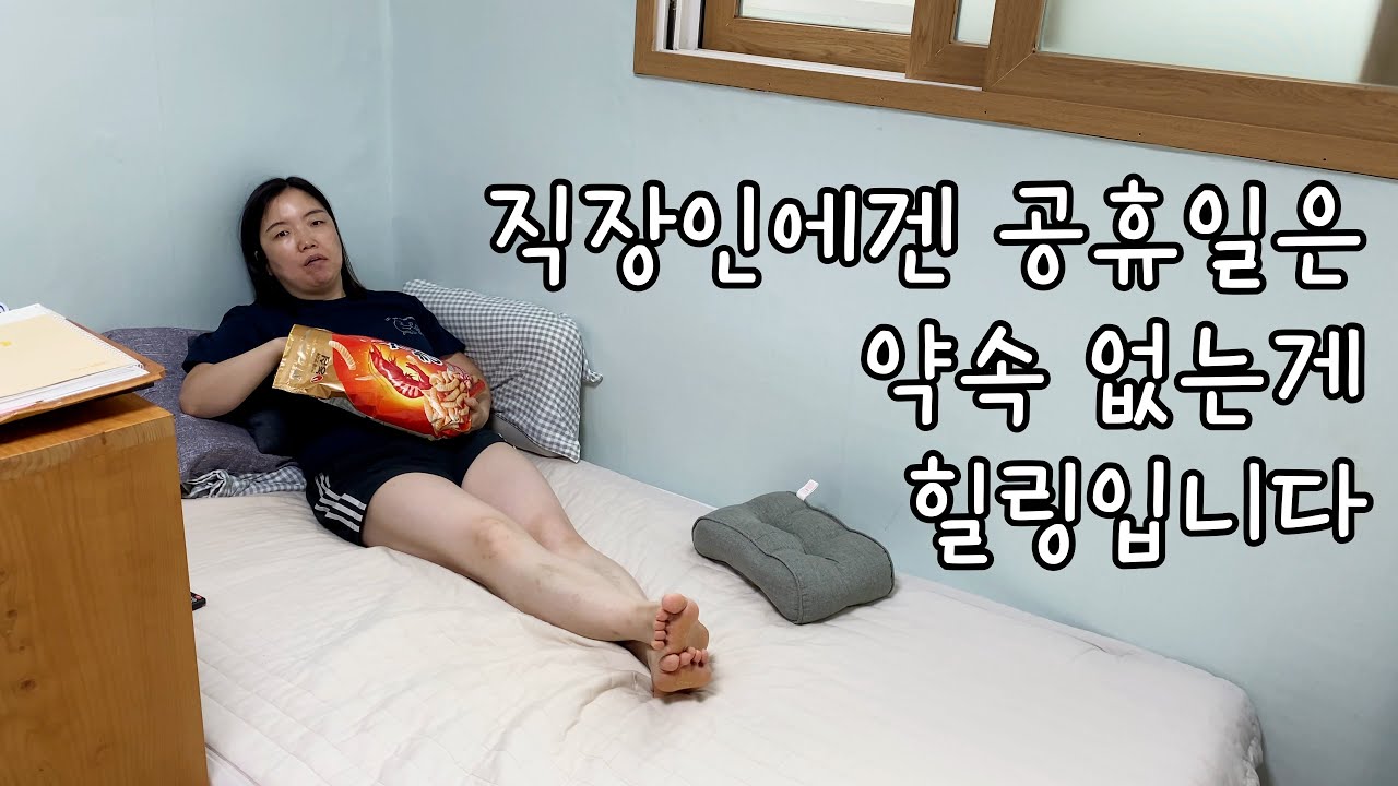 [MJ] 공휴일에 약속 없는 도봉구 직장인의 현실 브이로그