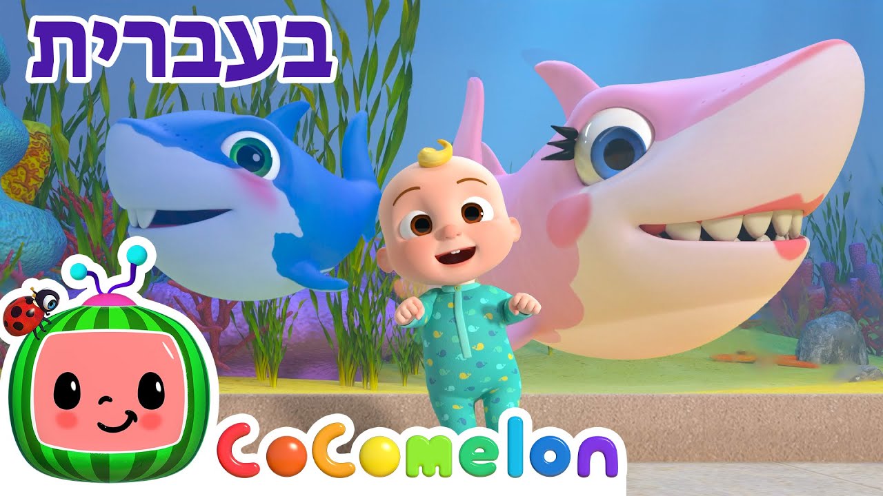 תינוק כריש | שירי ערש לתינוקות | CoComelon - קוקומלון בעברית