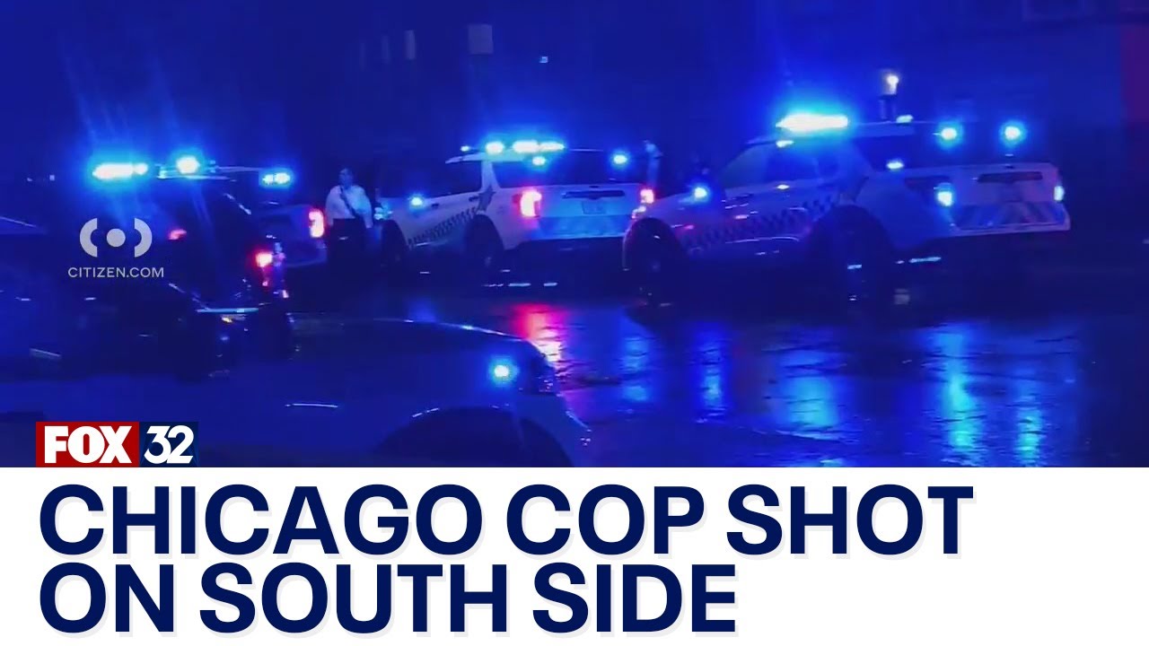 Chicago police officer shot in Chatham: sources