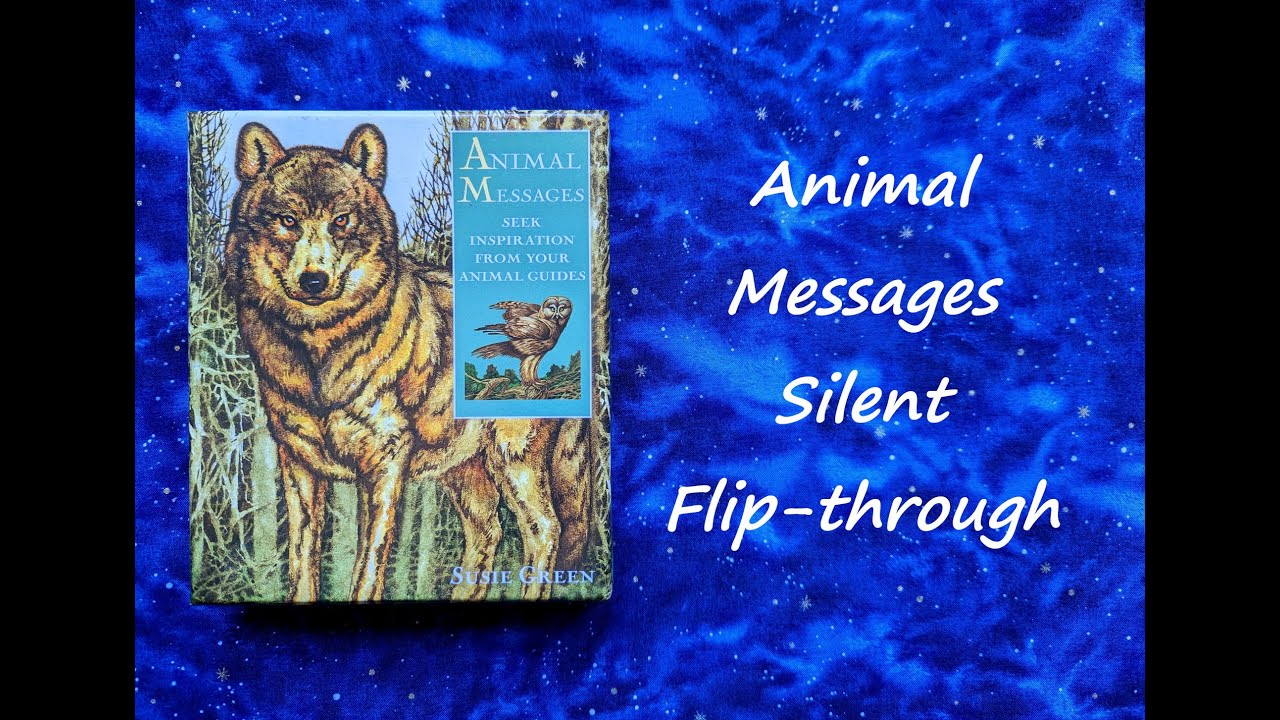Animal Messages - Silent Flip-through