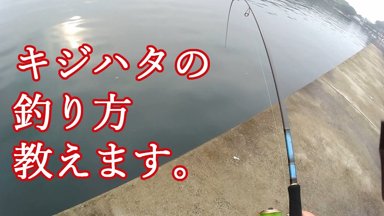 完全初心者のためのジカリグその2　アクション実践編！説明中に釣れてしまう！？