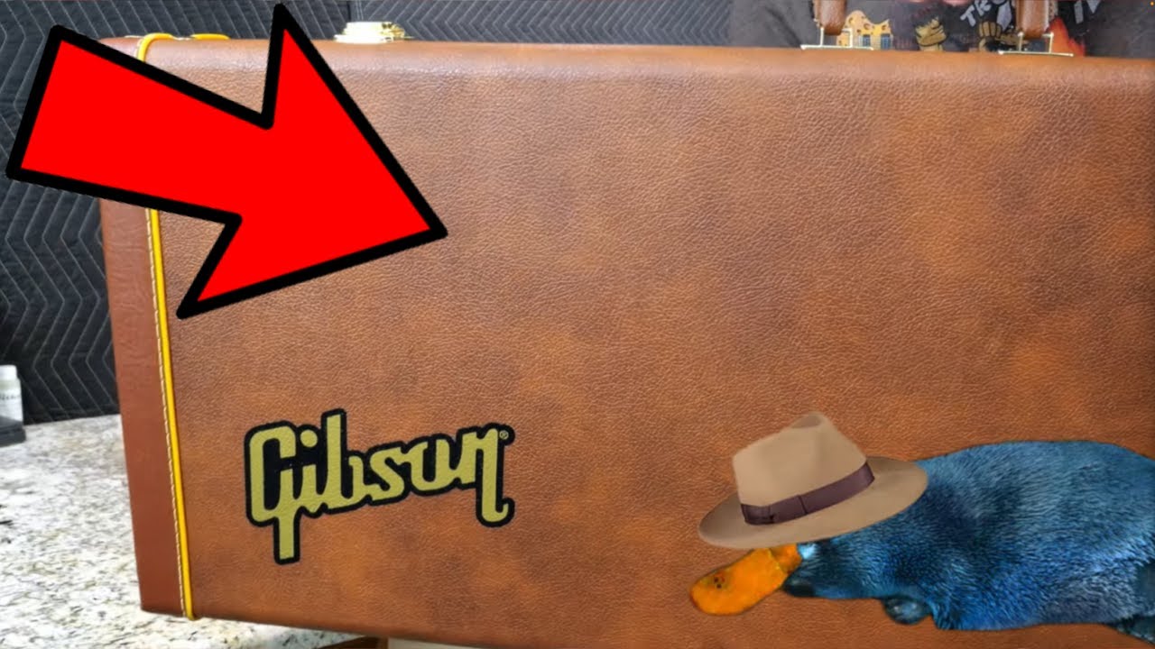 У меня есть НОВЫЙ Gibson 