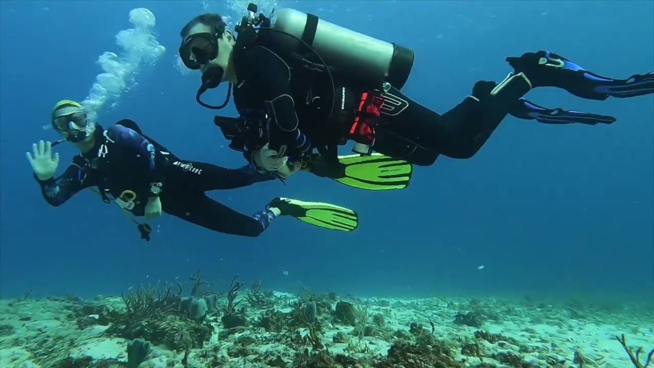 Scuba Diving in Cozumel - December 15, 2024