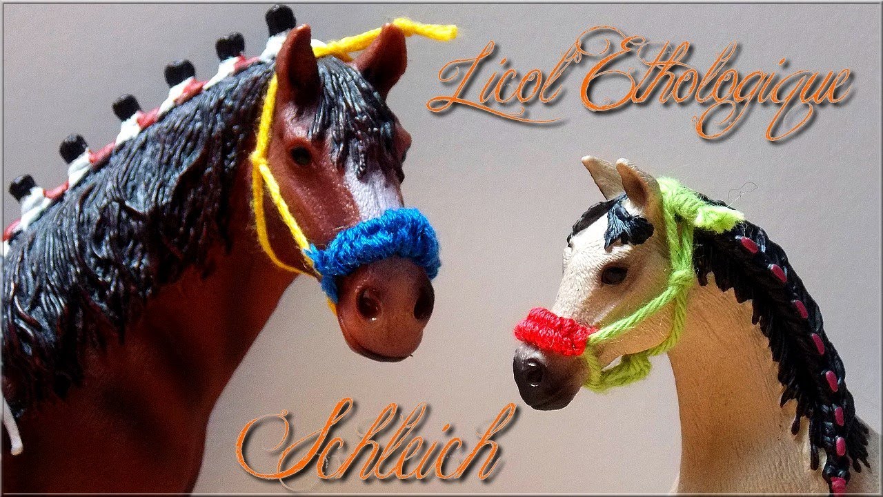 |Tuto°2| Licol éthologique Schleich