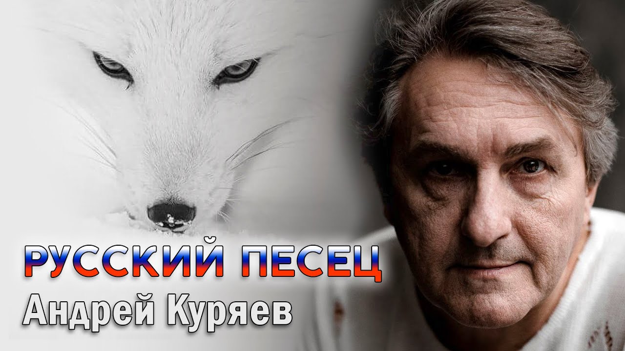 Андрей Куряев – Русский песец  ♫ Песни русской души ♫ Эти песни ищут все
