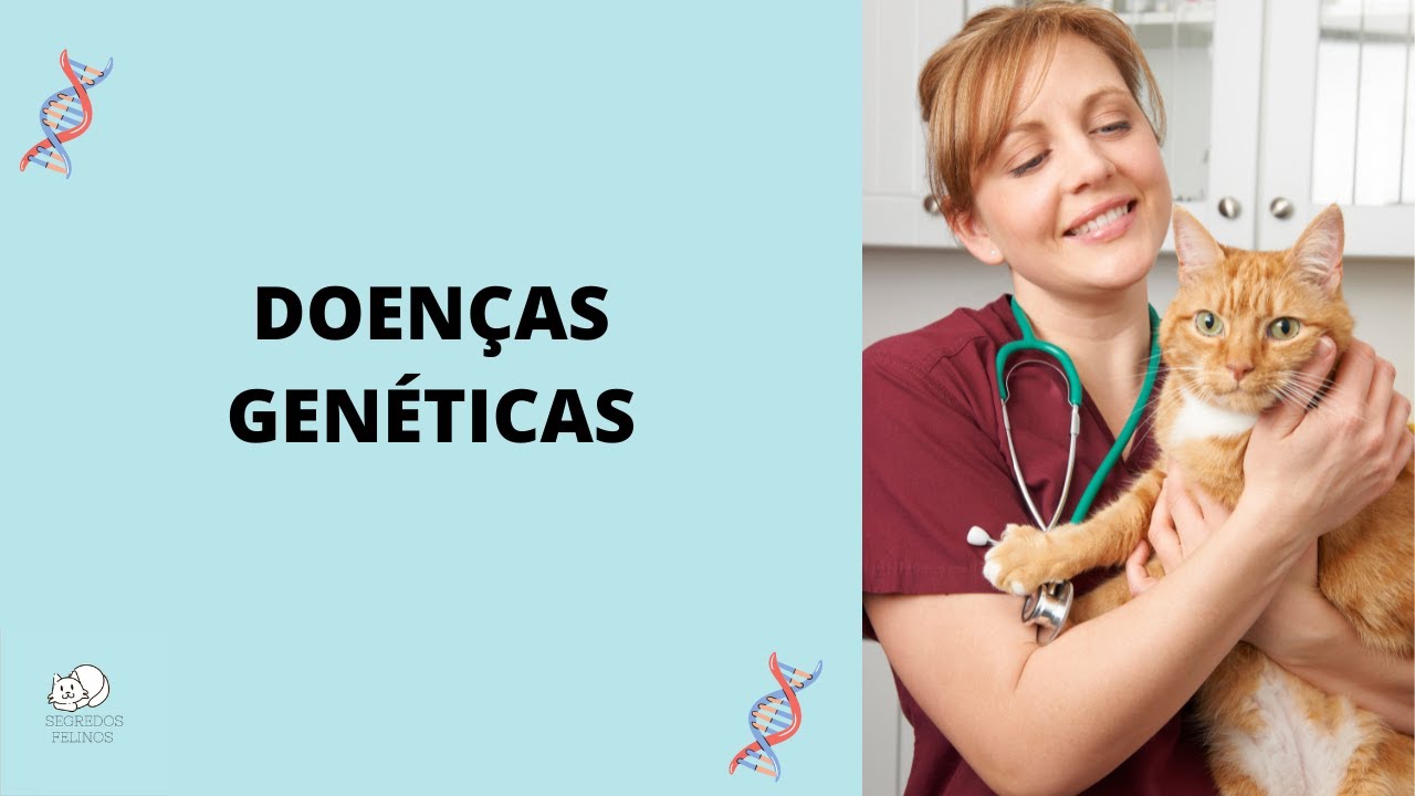 QUAIS SÃO AS DOENÇAS GENÉTICAS COMUNS EM GATOS?