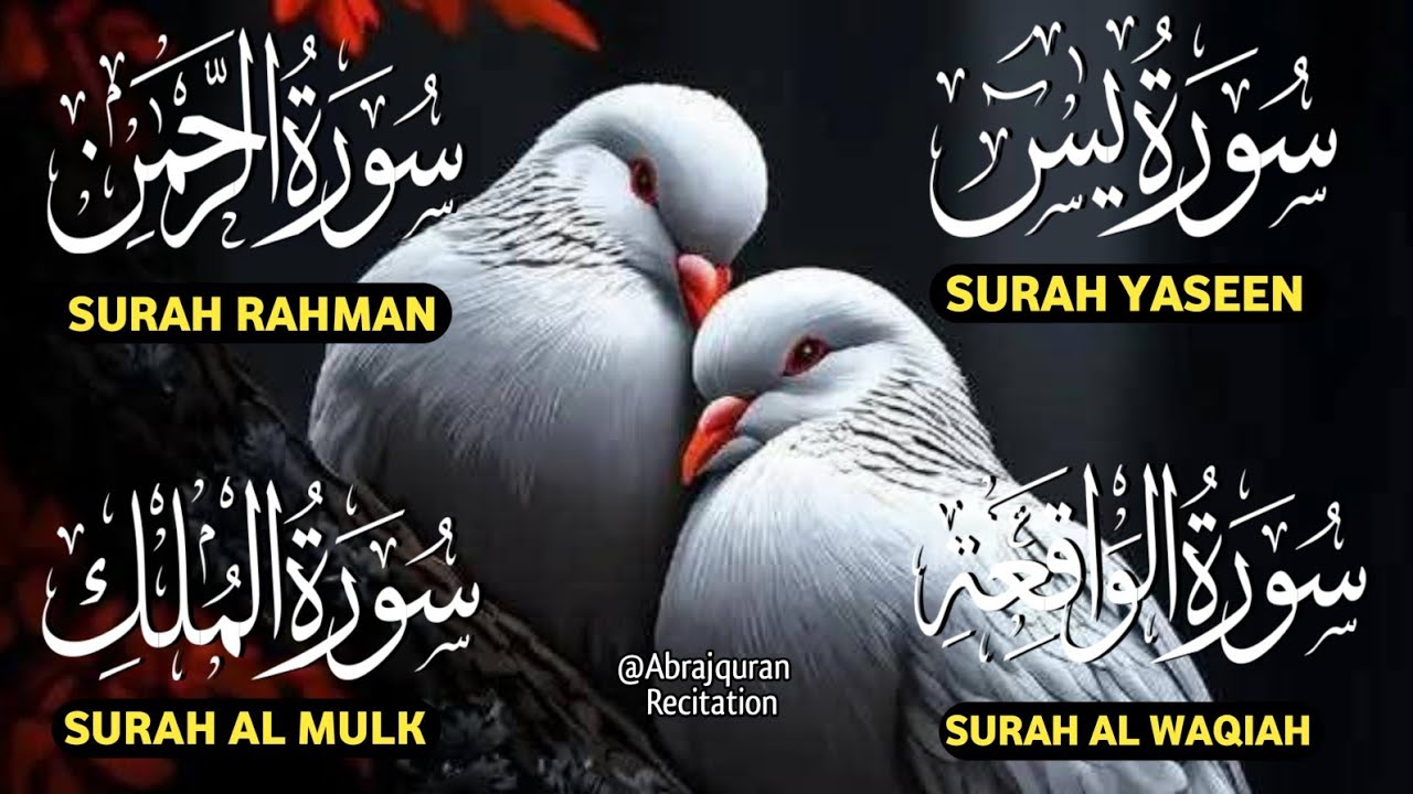 🔴Live Surah Yaseen ❤ Surah Rahman ❤ Surah Al Mulk | Surah Al Waqiah Soothing Quran recitation