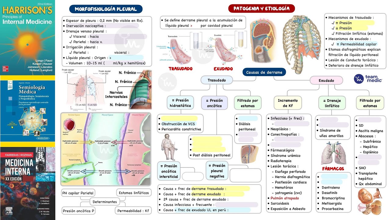 Derrame pleural 2025  |  Fisiopatolog&iacute;a