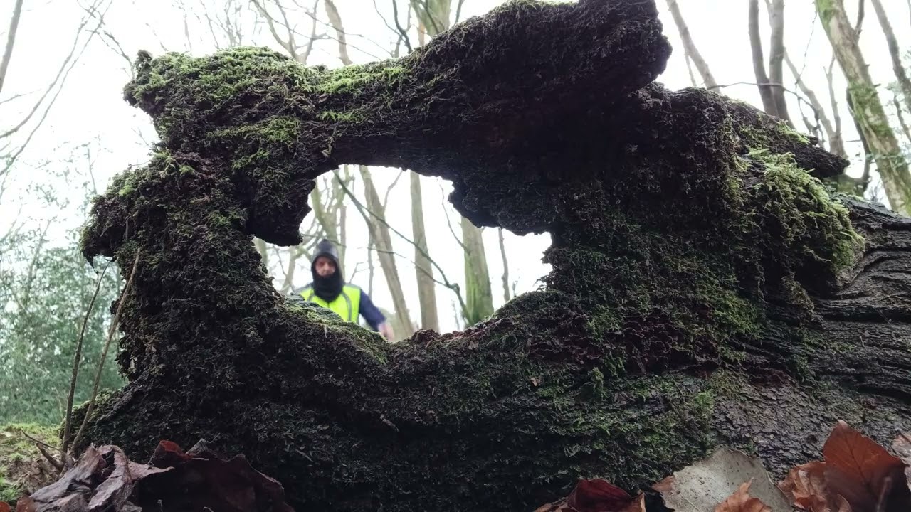 Sheffield Forest Run 8th Jan 2025