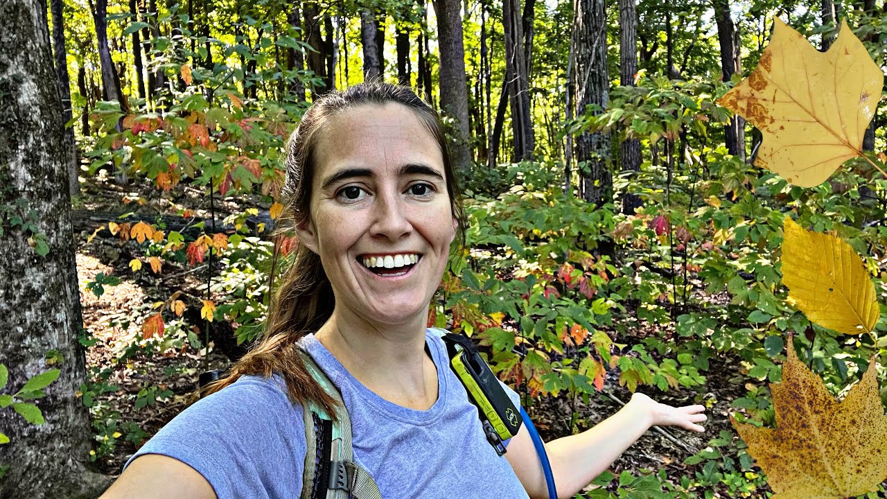 Welcoming Fall with a Hike! [Clifty Falls State Park]