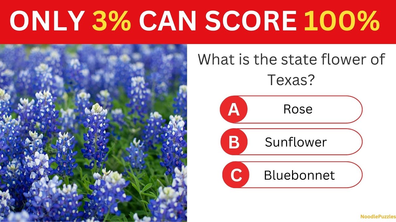 Let's Check Your Knowledge About Texas