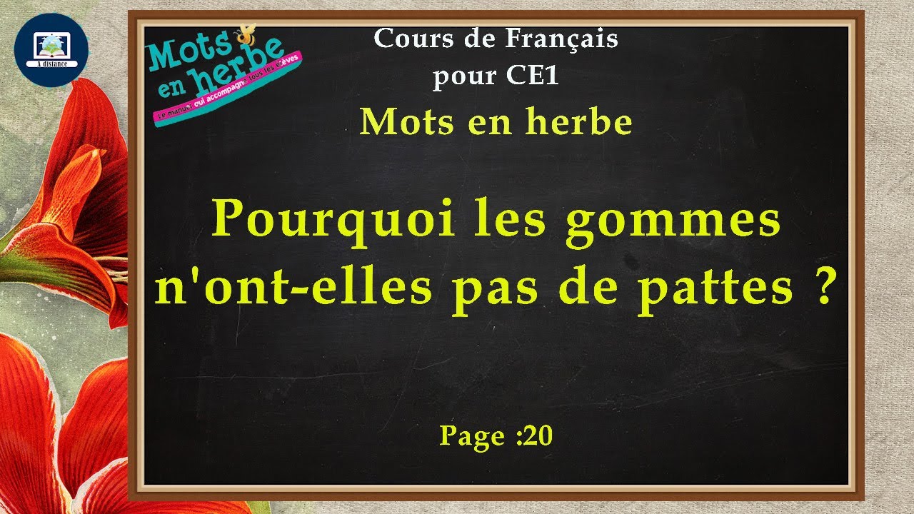 Pourquoi les gommes n'ont-elles pas de pattes ?   I   Mots en herbe   I  CE 1  I   Page 20