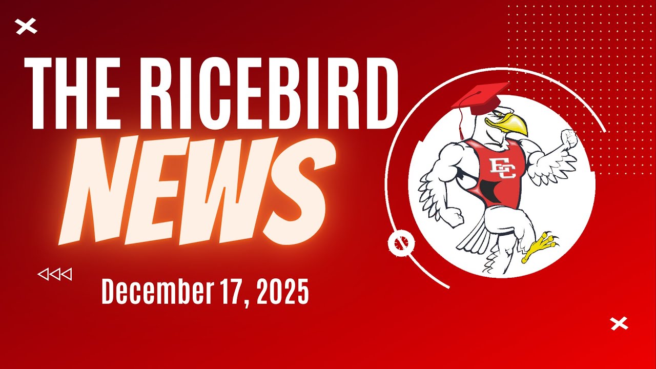 December 17 2025 Ricebird News