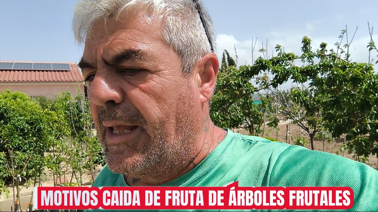 ¿POR QUÉ SE CAE LA FRUTA DE VUESTROS ÁRBOLES FRUTALES?