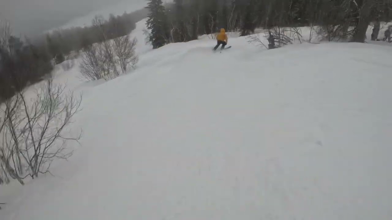 Terry Peak #terrypeak #ski #darkhorse #skiing #longshot #mountains #surprise #snowboard #underdog