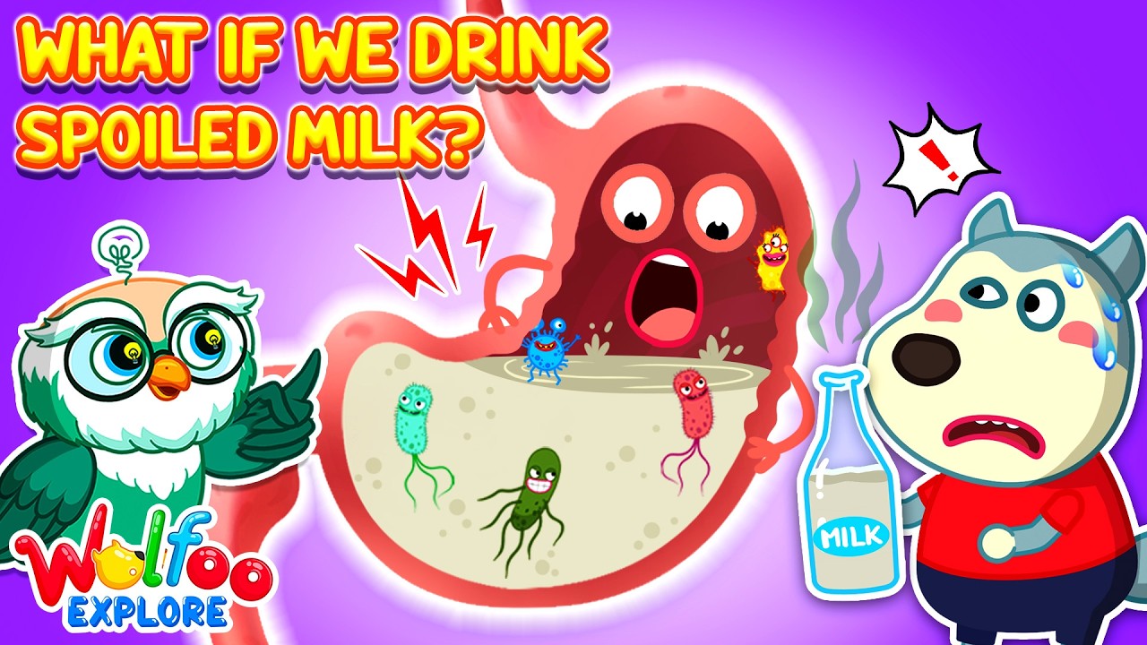 Expired Milk?! 🥛 What Happens Inside Your Tummy? Wolfoo Explore - Human Body | Educational Videos