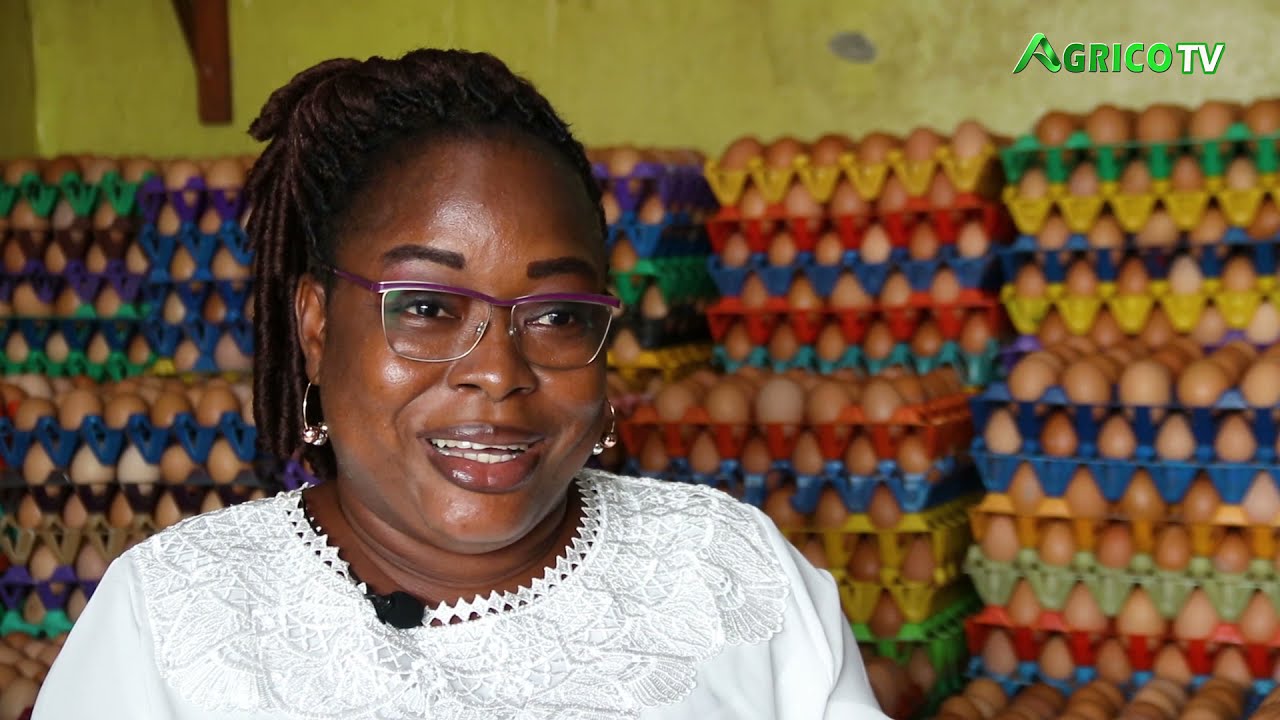 COMMERCIALISATION DES OEUFS DE TABLE AU BENIN_SEMAINE_AVICOLE_VIRTUELLE_2021