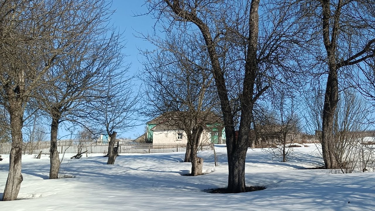 Маленькие истории у родника. 