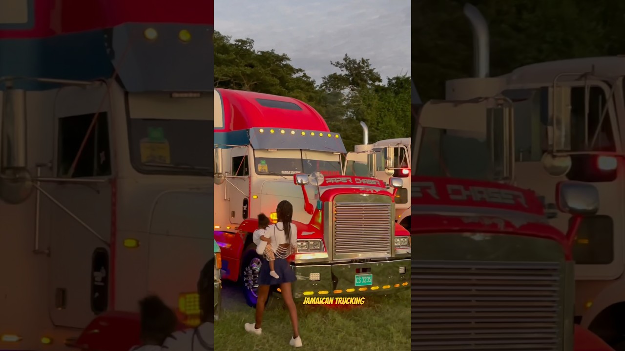 Beautiful Fld 120 #custom #fld120 #freightliner # viral #fyp #fypシ #fy #trucks #jatrucking