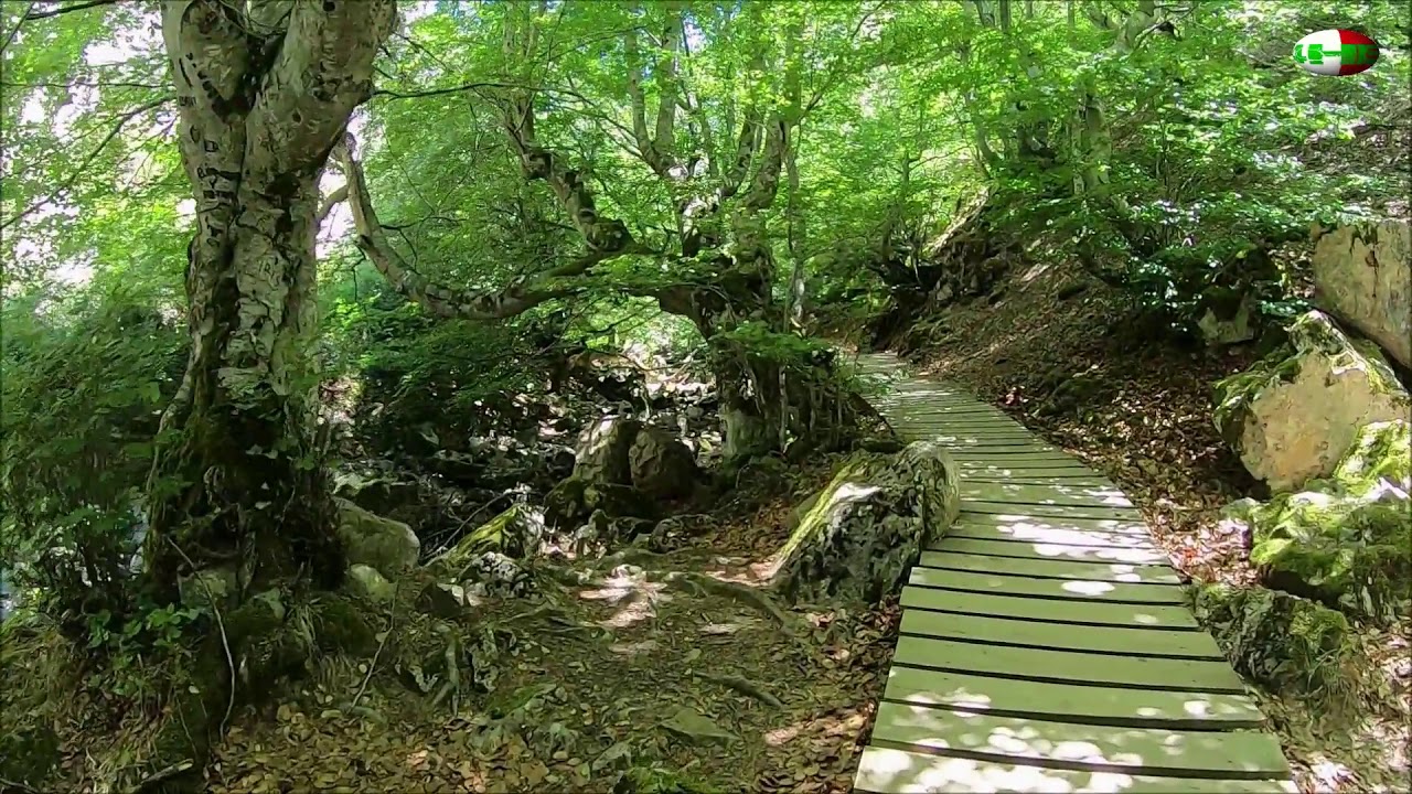 Ruta El Faedo de Ciñera