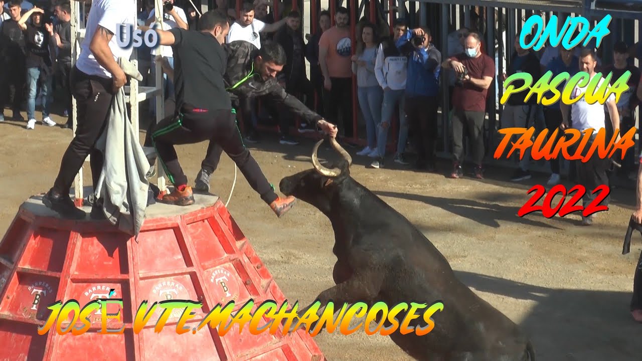 2022 04 25 ONDA PASCUA TAURINA JOSE VTE MACHANCOSES